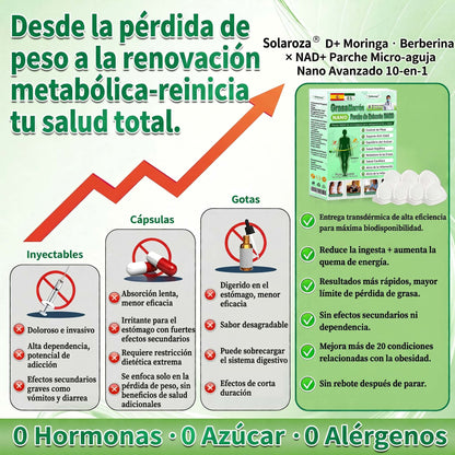 ❄️Tienda oficial | 🍋Solaroza® Moringa & Berberine 10-IN-1 Advanced Nano Microneedle 1 Patch (una vez al día, cambios visibles en 7 días) ✅ obesidad, Diabetes, Apnea del sueño, y problemas articulares
